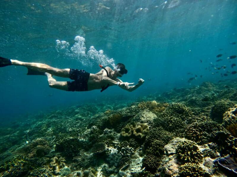 Bali: Snorkeling Blue Lagoon 2 Spot & Lunch optional Village - What to Expect from the Tour