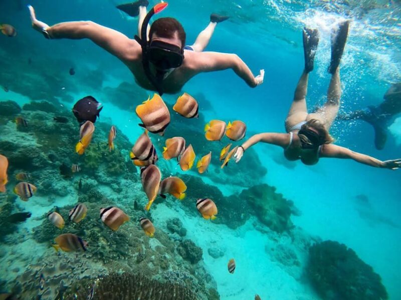 Bali Snorkeling: Blue Lagoon and Tanjung Jepun All Inclusive - Marine Life Sightings