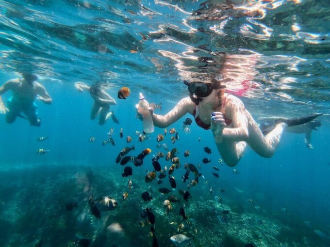 Bali Snorkeling: Blue Lagoon and Tanjung Jepun All Inclusive - Important Guidelines and Restrictions