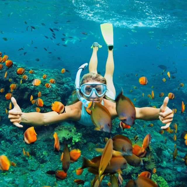 Bali: Snorkeling on 2 Spots With Lunch and Transport - Itinerary & Locations