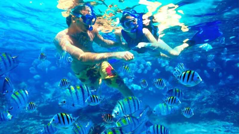Bali: Snorkeling on 2 Spots With Lunch and Transport - Snorkeling Spots