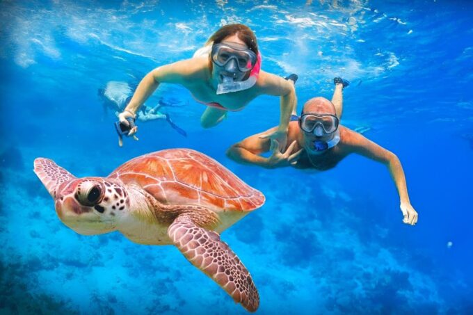 Bali: Snorkeling on 2 Spots With Lunch and Transport - Frequently Asked Questions