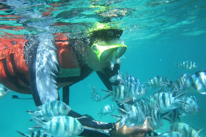 Bali : Snorkeling Tour at Blue Lagoon Padangbai - Key Points