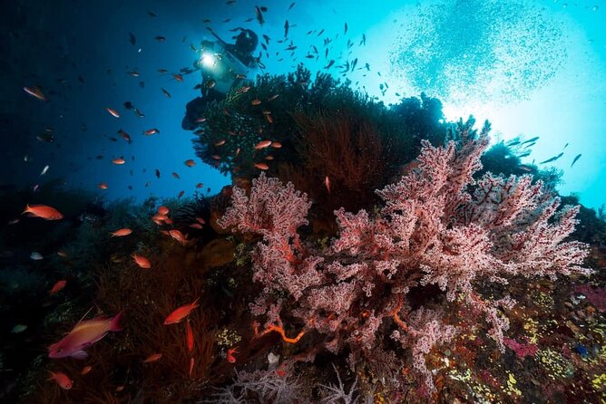 Bali Snorkeling Trip at USS Liberty Shipwreck With Hotel Transfers - Rafting on Telaga Waja River