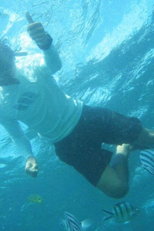 Bali: Snorkeling, Turtle Island and Uluwatu Kecak With Lunch - Key Points