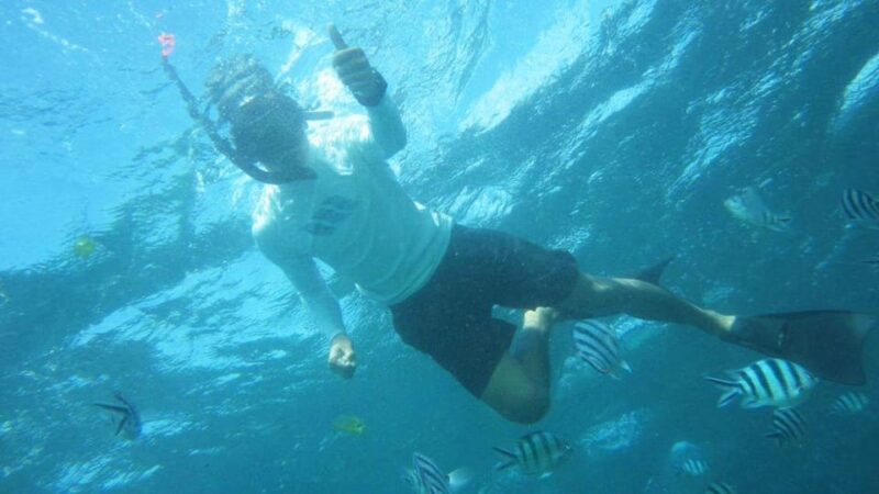 Bali: Snorkeling, Turtle Island and Uluwatu Kecak With Lunch - Important Information