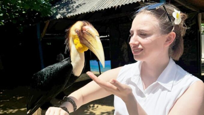 Bali: Snorkeling, Turtle Island and Uluwatu Kecak With Lunch - Booking and Cancellation Policy