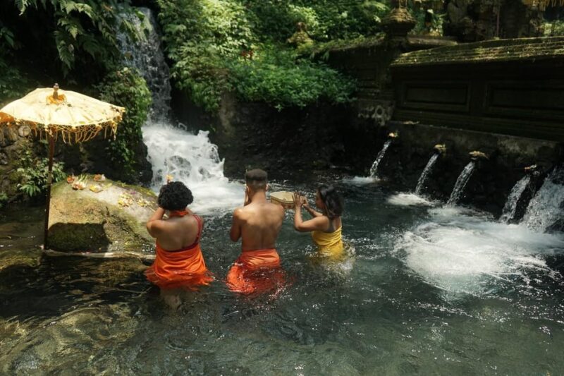 Bali: Soul Detox Authentic Ubud Balinese Wellness + Lunch - Experience Highlights