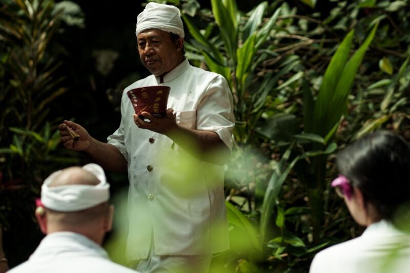 Bali Spiritual: Blessing Ceremony, Pristine Nature, Transfer - Itinerary and Activities