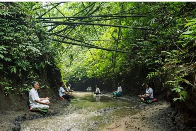 Bali Spiritual: Palm Reading, Purification, and Healing - Key Points