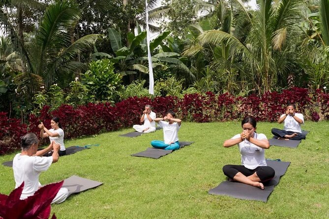 Bali Spiritual: Palm Reading, Purification, and Healing - Inclusions and Pricing