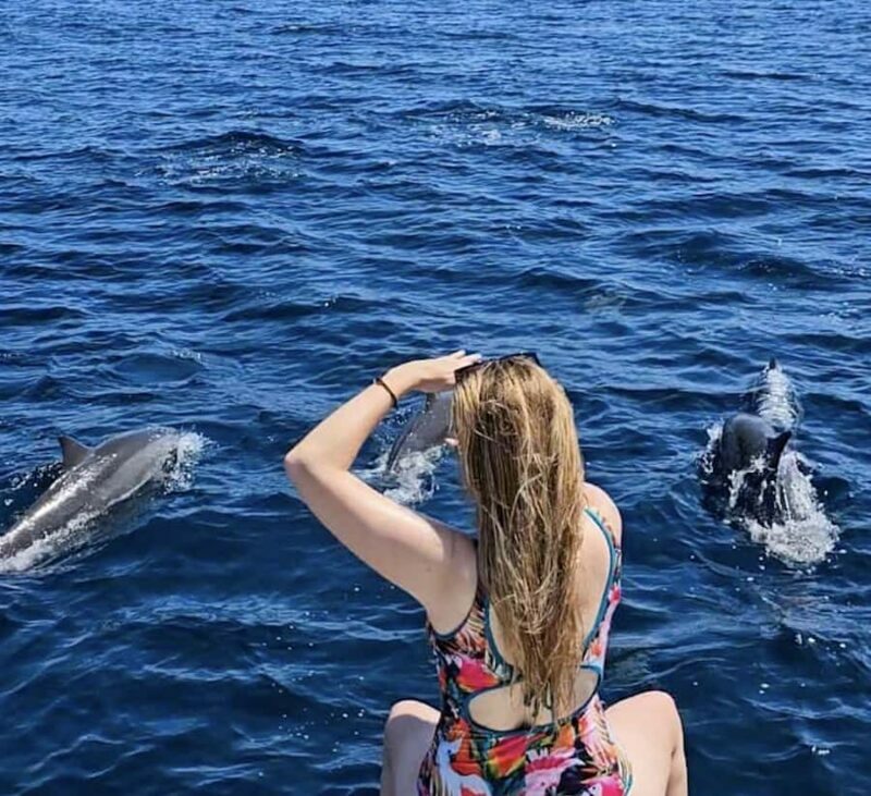 Bali: Sunrise Dolphin Snorkel, Waterfall & UNESCO Temple - A Detailed Look at the Tour Experience
