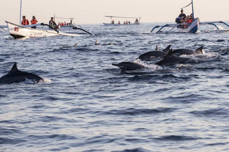 Bali: Sunrise Dolphin Snorkel, Waterfall & UNESCO Temple - Final Thoughts: Is It Worth It?