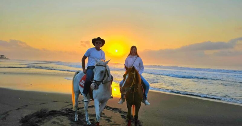 Bali Sunrise Horse Riding - Key Points