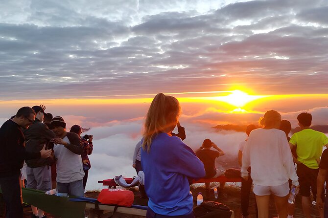 Bali Sunrise Trekking and Full-Day Trip in Ubud Best Destination - Key Points