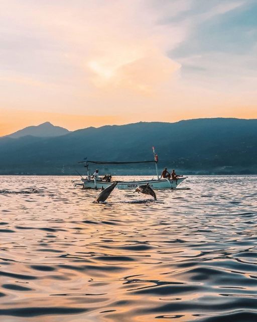 Bali: Swim With Dolphins, Ulundanu Bratan & Scenic Waterfall - Pricing and Inclusions