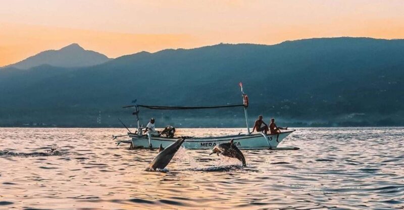 Bali: Swim With Dolphins, Ulundanu Bratan & Scenic Waterfall - Itinerary Details