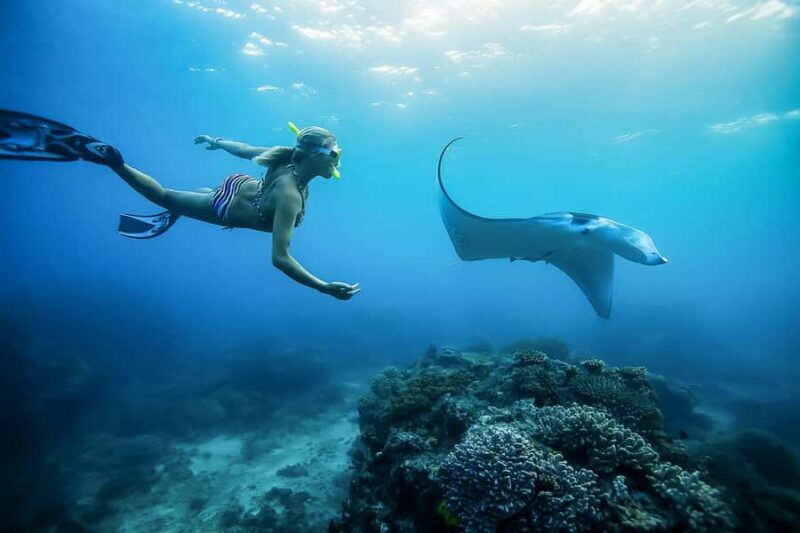 Bali: Swim with Manta Rays in Penida, Optional Lunch & Kayak - The Sum Up