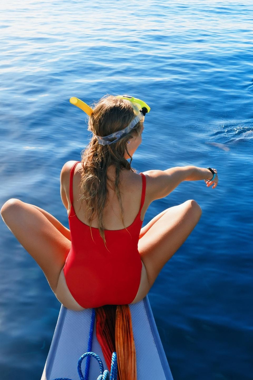 Bali: Swimming With Dolphin & Waterfal Tour, All Inclusive. - Key Points