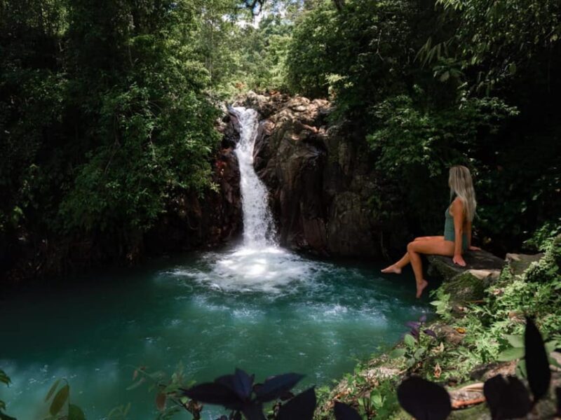 Bali: Swimming With Dolphin & Waterfal Tour, All Inclusive. - Experience Details