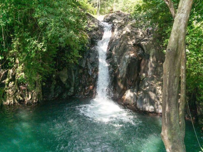 Bali: Swimming With Dolphin & Waterfal Tour, All Inclusive. - Dolphin Swimming Experience