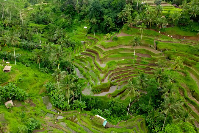 Bali Swing Activity and Ubud Watefall Trip Packages - Package Inclusions