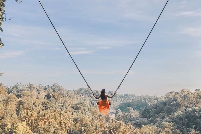 Bali Swing, Monkey Forest and Waterfall Tour - Cascading Waterfalls Delight