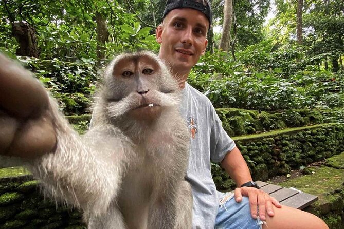 Bali Swing, Monkey Forest and Waterfall Tour - Sum Up