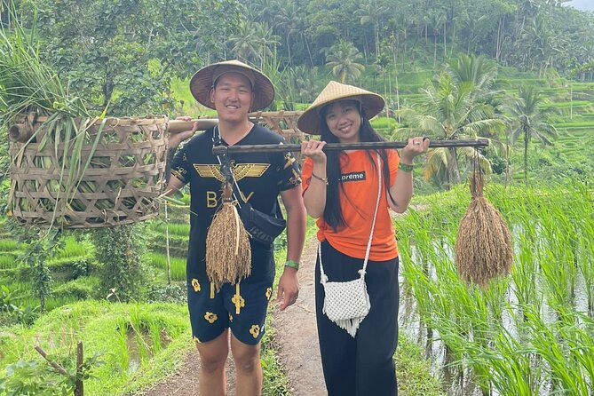 Bali Swing Ubud Hot Spring Waterfall Private Tour Free WiFi - Booking and Policies