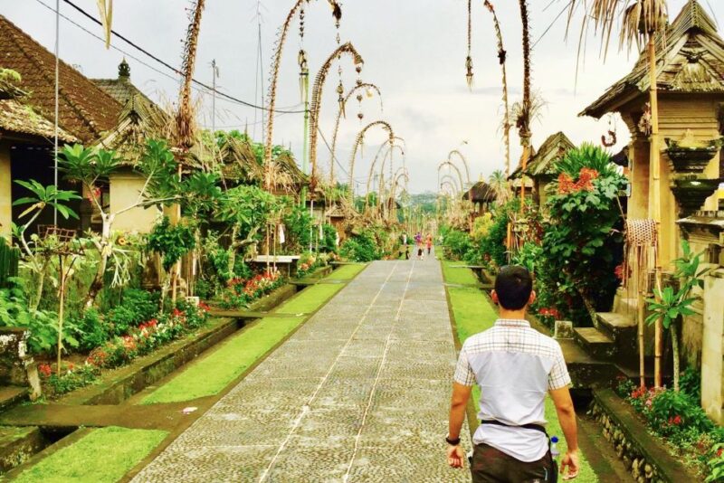 Bali: Swing With Falls, Rice Terrace, & Monkey Forest Option - Inclusions and Options