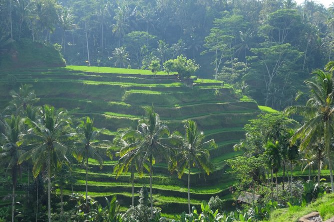 Bali Swing With Tukad Cepung Waterfalls - Highlights of the Experience