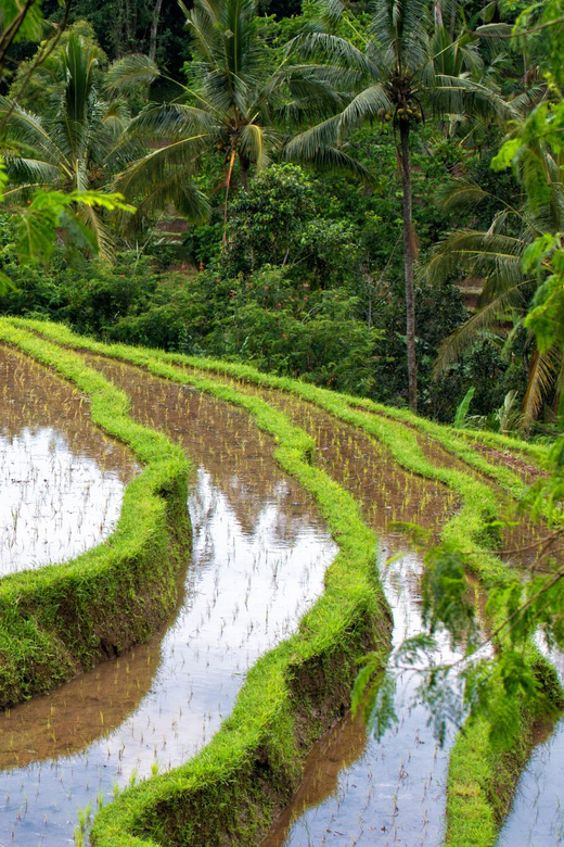 Bali: Tanah Lot, Jatiluwih Terrace, & Ulundanu Beratan Tour - Itinerary Highlights