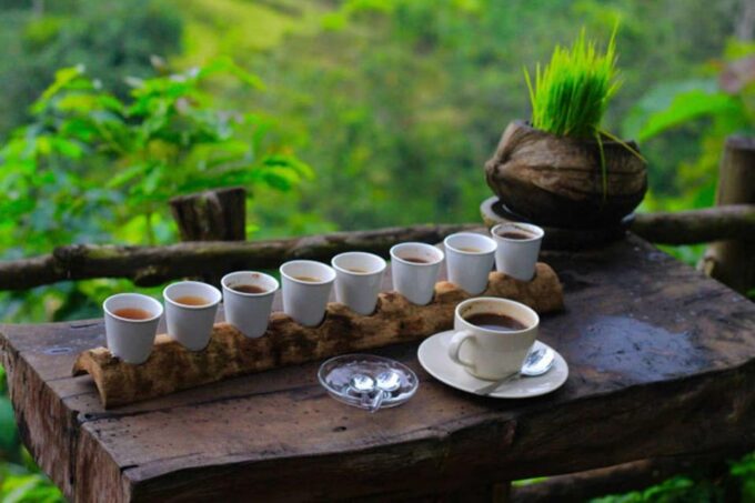 Bali: Tanah Lot Temple, Jatiluwih, Coffee, Taman Ayun Temple - Participant Information and Recommendations
