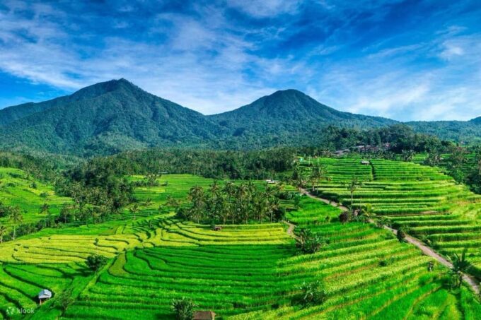 Bali: Tanah Lot Temple, Jatiluwih, Coffee, Taman Ayun Temple - Frequently Asked Questions