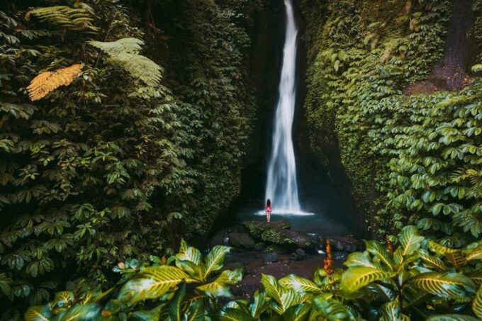 Bali: Tanah Lot Temple, Monkey Forest, Waterfall & Jatiluwih - Customer Reviews and Highlights