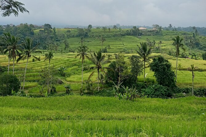Bali Tanah Lot, Ulun Danu Beratan & Jatiluwih Rice Terrace - Inclusions