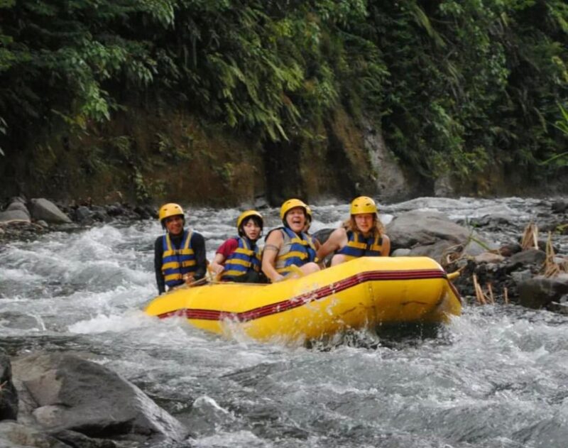 Bali: Telaga Waja River Rafting Small-Group Tour With Lunch - Key Points