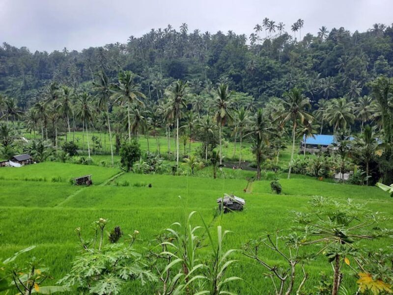 Bali: Telaga Waja River Rafting With Hotel Transfers - Rafting Schedule