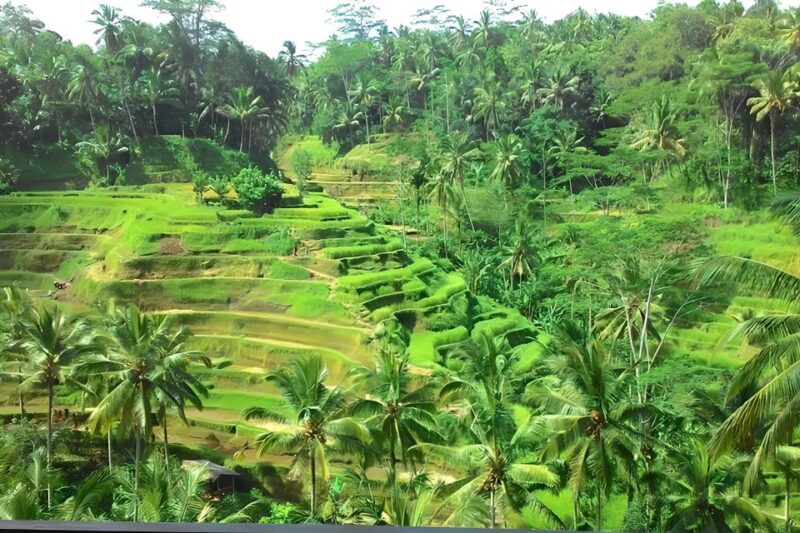 Bali :Temple, Rice Terrace, Volcano, Waterfall-All Inclusive - Itinerary Highlights