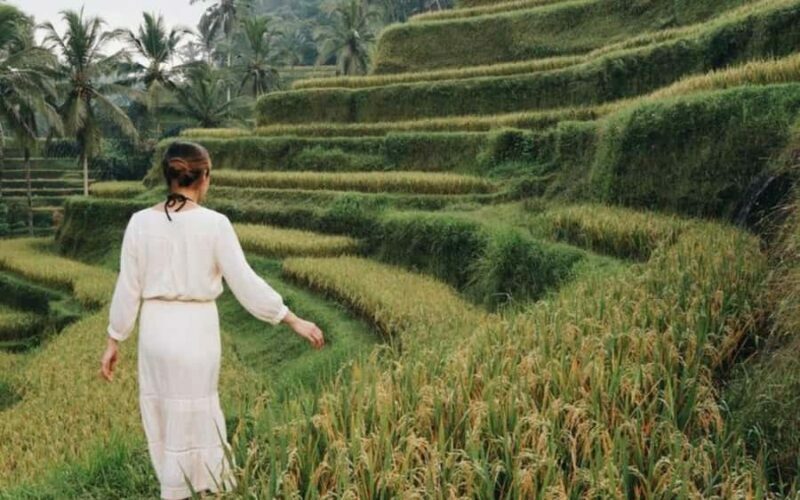 Bali: The Icons Highlands, Heritage & Horizons - Authenticity and Guest Feedback