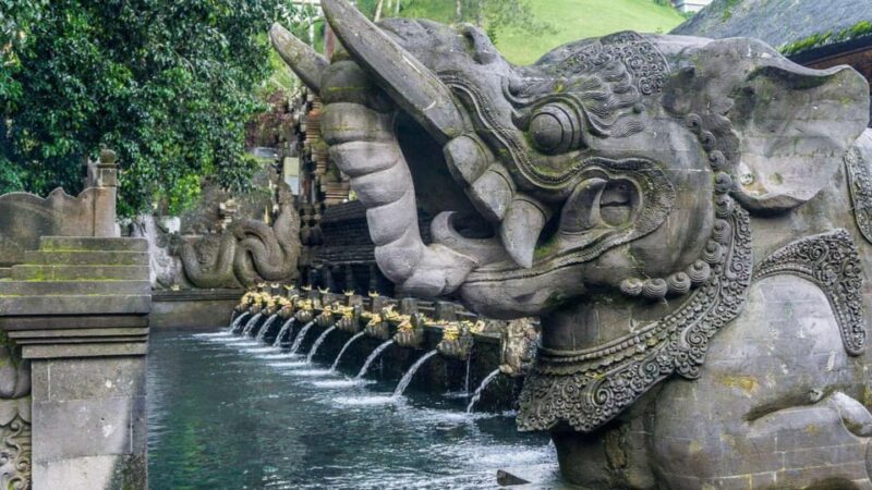 Bali: Tirta Empul, Tibumana Waterfall & Penglipuran Village - Customer Reviews