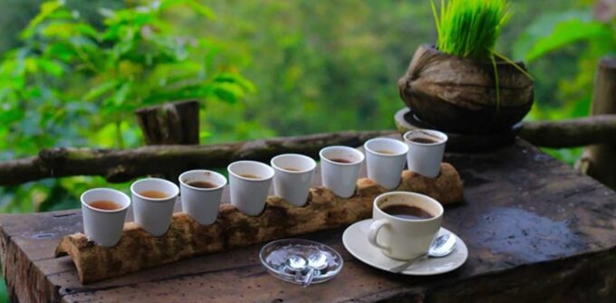 Bali: Tirta Empul, Tibumana Waterfall & Penglipuran Village - Frequently Asked Questions