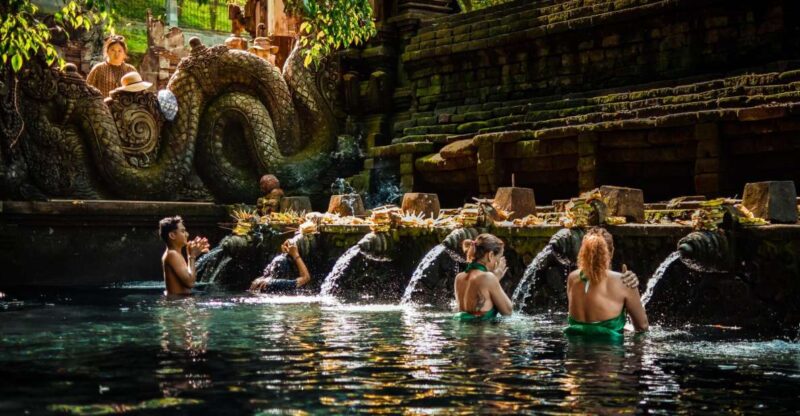 Bali: Tirta Empul, Tibumana Waterfall & Penglipuran Village - Important Information
