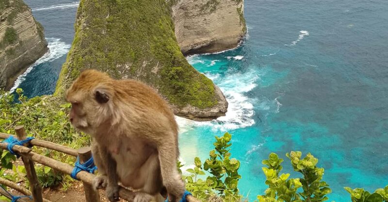 Bali to Nusa Penida Fastboat Tickets - Meeting Point and Arrival Time