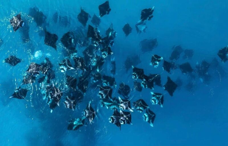 Bali to Nusa Penida : Scenic Island Day Tour With Snorkeling - Itinerary and Activities
