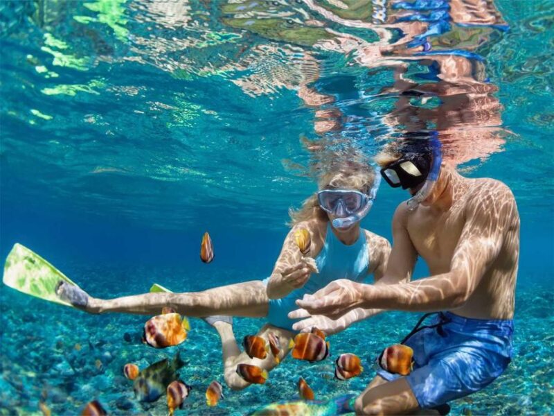 Bali to Nusa Penida : Scenic Island Day Tour With Snorkeling - Highlights and Experiences