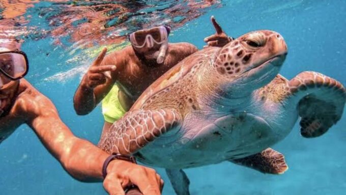 Bali to Nusa Penida : Scenic Island Day Tour With Snorkeling - Customer Reviews