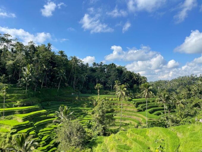 Bali Tops 3 Waterfalls - Temple And Rice Terrace - Frequently Asked Questions
