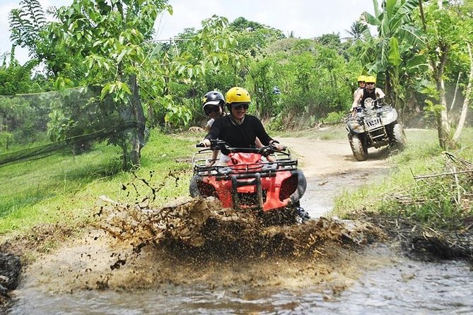 Bali Tour Customized With Private Tour Driver - Diverse Bali Attractions