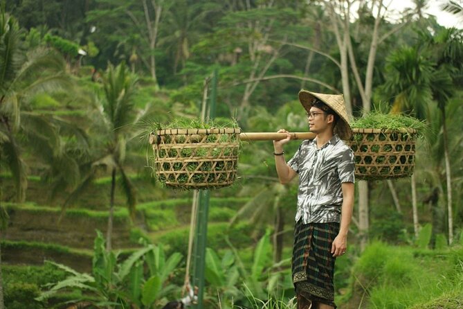 Bali Tour Customized With Private Tour Driver - Customer Feedback and Ratings